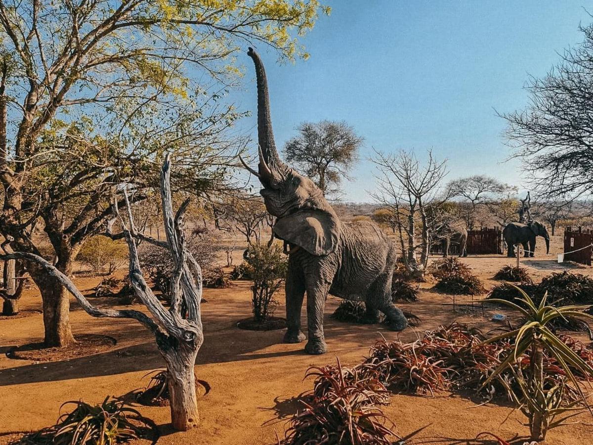 Tshukudu Game Lodge Hoedspruit Εξωτερικό φωτογραφία