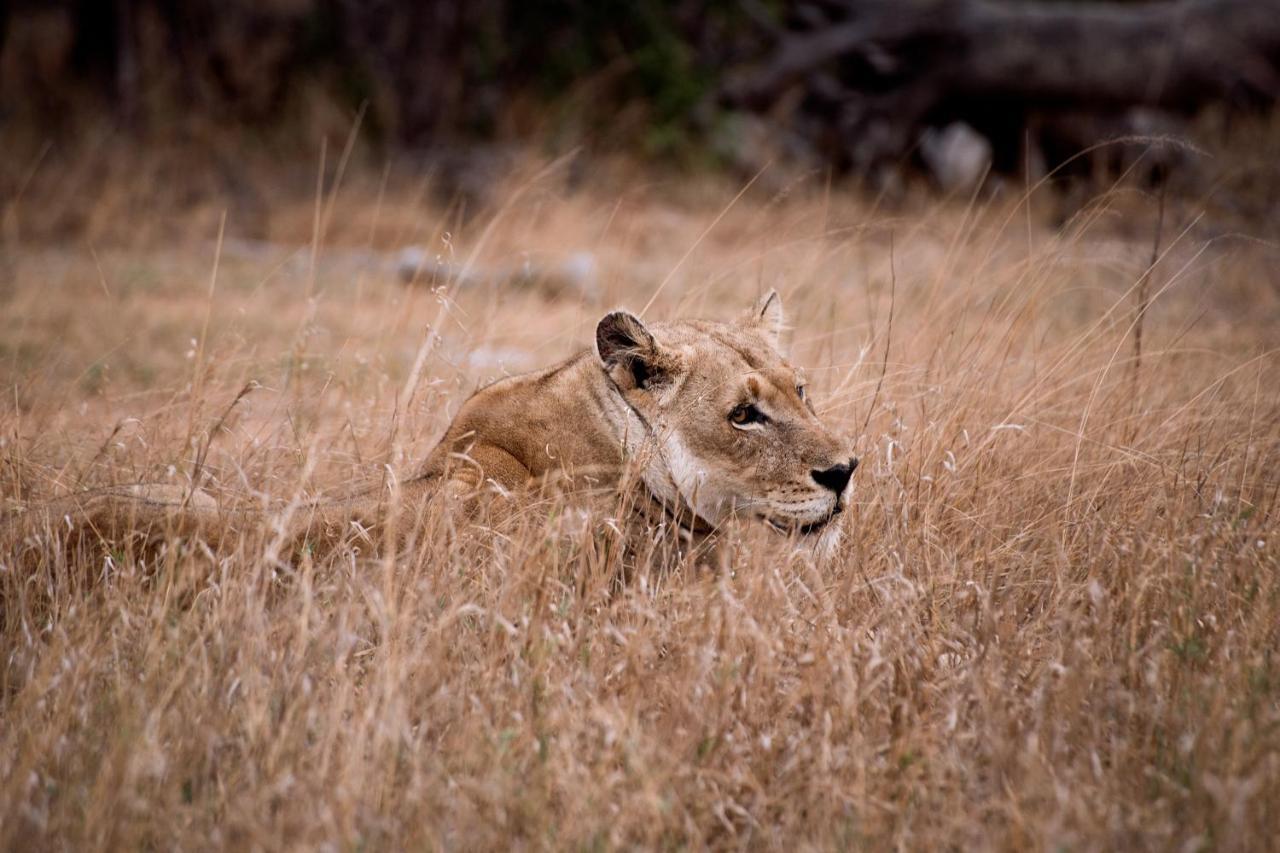 Tshukudu Game Lodge Hoedspruit Εξωτερικό φωτογραφία